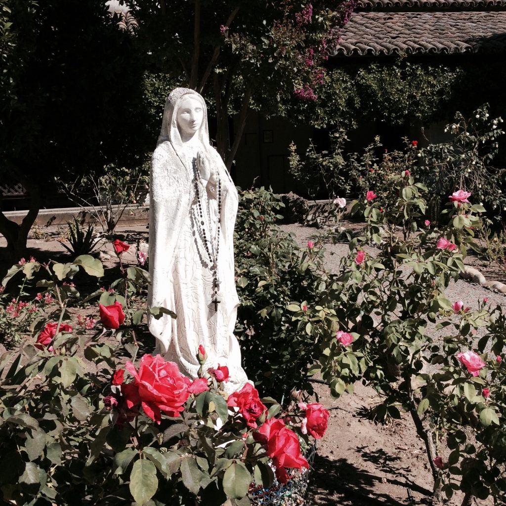 Tranquil rose garden